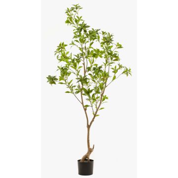 Árbol artificial de té GUSHON, tronco artificial, verde, 185cm