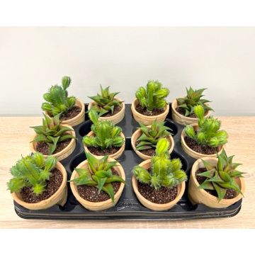 Arreglo floral artificial de suculentas GLAVEN en maceta de terracota, 12 unidades, verde