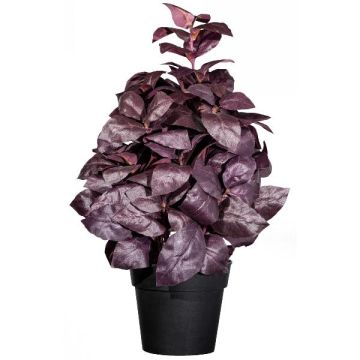 Hierba artificial albahaca WONDYR en maceta decorativa, rojo burdeos, 30 cm