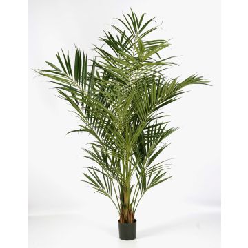 Palmera kentia artificial OMAYRA, difícilmente inflamable, 225 cm