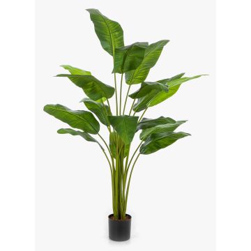 Árbol del viajero artificial COSINO, 170 cm