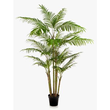 Palmera artificial KYLO en maceta decorativa, 215 cm