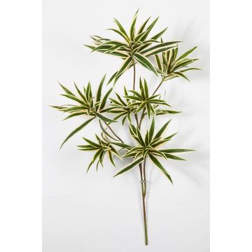 Planta artificial Dracaena Reflexa Jamaica Rama MAYRA, difícilmente inflamable, verde-amarillo, 70 cm Planta artificial Dracaena Reflexa Jamaica Rama MAYRA, difícilmente inflamable, verde-amarillo, 70 cm