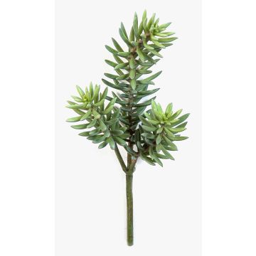 Rama artificial Sedum reflexum FEITE, varilla, verde, 40 cm