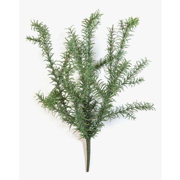 Arbusto artificial de romero SKYLO sobre varilla, crossdoor, verde, 60 cm Arbusto artificial de romero SKYLO sobre varilla, crossdoor, verde, 60 cm