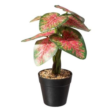 Planta artificial Caladium WEHNDAS, maceta decorativa, verde-rojo, 30 cm