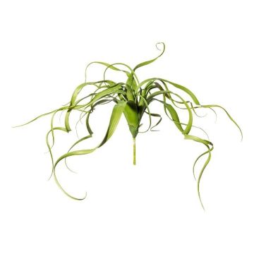 Suculenta artificial Tillandsia streptophylla KRIFT, varilla, verde, 65 cm