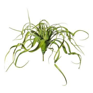 Suculenta artificial Tillandsia streptophylla KRIFT, varilla, verde, 70 cm