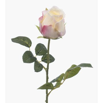 Rosa artificial DIXLEN, blanco-rosa, 70 cm