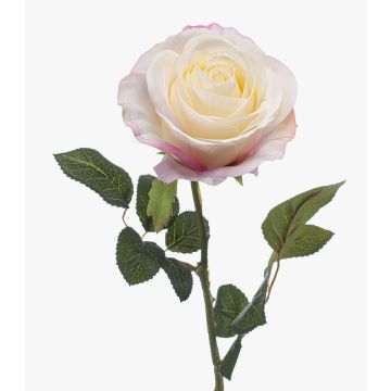 Rosa artificial BRUNETTE, blanco-rosa, 65 cm