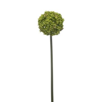 Allium artificial TUXLON, verde, 75 cm