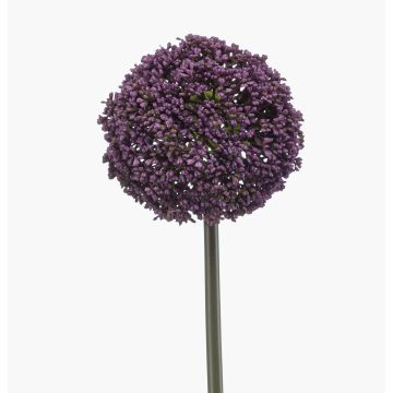 Allium artificial TUXLON, lila oscuro, 75 cm