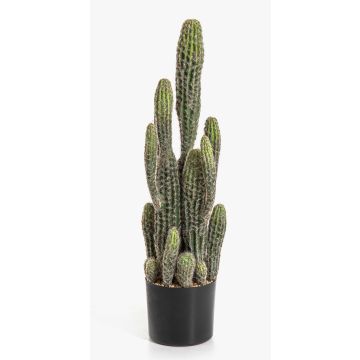 Cactus artificial San Pedro FARIN, verde, 75 cm