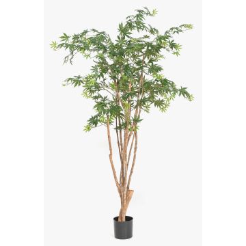 Planta artificial arce japonés ILIANU, troncos reales, verde, 180 cm
