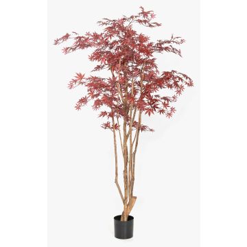 Planta artificial arce japonés ILIANU, troncos reales, rojo, 180 cm