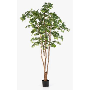 Planta artificial arce japonés ILIANU, troncos reales, verde, 240 cm