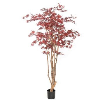 Planta artificial arce japonés ILIANU, troncos reales, rojo, 240 cm