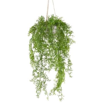 Colgante decorativo de helecho musgo KLUHER, maceta de cemento, verde, 90 cm