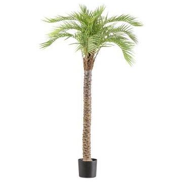 Palmera artificial Macauba HADLEY, 175 cm