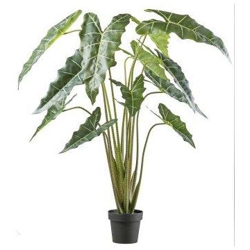 Planta artificial Alocasia Sanderiana NARLO, maceta decorativa, verde, 160 cm
