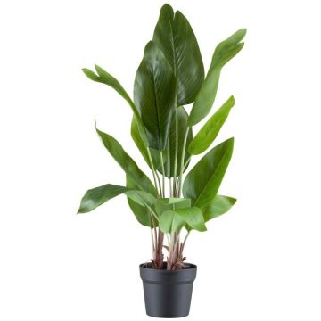 Planta artificial Strelitzie JARVINY en maceta decorativa, verde, 70 cm Planta artificial Strelitzie JARVINY en maceta decorativa, verde, 70 cm