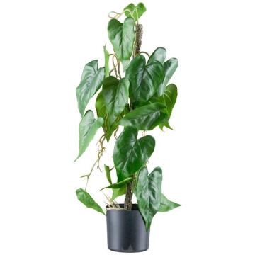 Planta artificial flor flamingo TROMLEN, raíces aéreas, verde, 65 cm