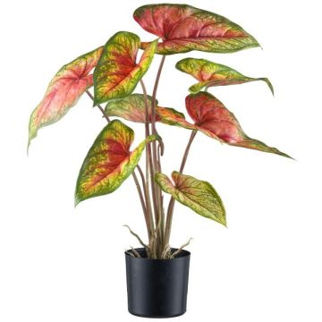 Planta artificial Caladium STAHER, raíces, rojo-verde, 55 cm