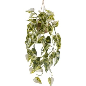 Colgante decorativo Syngonium en cesta colgante ZULHER, verde y blanco, 80 cm