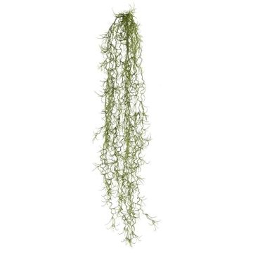 Suculenta artificial Tillandsia usneoides BLIMFY, varilla, colgante, verde oscuro, 80 cm