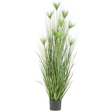 Planta de papiro artificial WURKA, verde, 210 cm