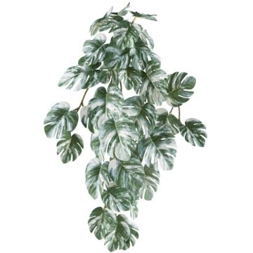 Colgante decorativo Philodendron monstera deliciosa variegata TRANE, varilla, verde-blanco, 50 cm Colgante decorativo Philodendron monstera deliciosa variegata TRANE, varilla, verde-blanco, 50 cm