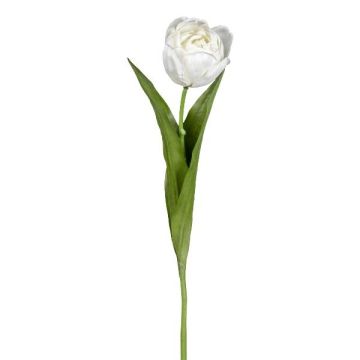 Flor artificial tulipán TRIFT, blanco-verde, 50cm, Ø4,5cm