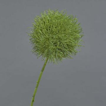 Flor artificial Allium GLORF, verde, 75 cm