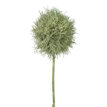Flor artificial Allium GLORF, gris verdoso, 75 cm