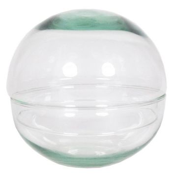 Terrario de cristal para suculentas BRYSON, bola, transparente, 12cm, Ø12cm