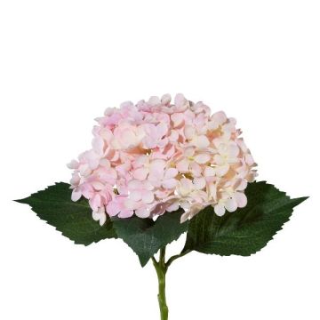 Flor artificial de hortensia ZURTO, rosa claro, 55 cm Flor artificial de hortensia ZURTO, rosa claro, 55 cm