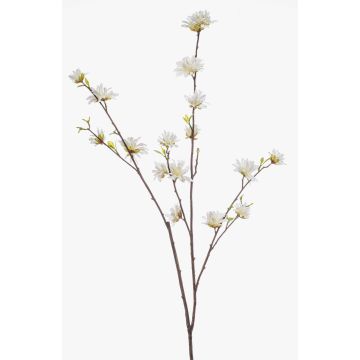 Rama decorativa de hamamelis ZAVNER con flores, blanca, 110 cm
