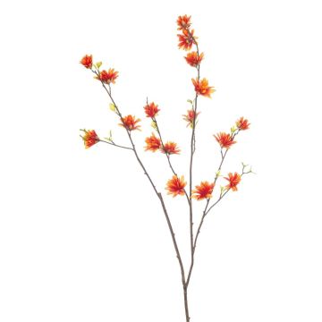 Rama decorativa de hamamelis ZAVNER con flores, naranja, 110 cm