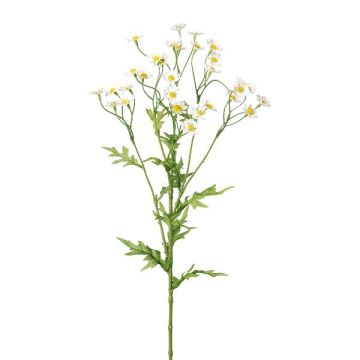 Rama decorativa de manzanilla GRUHEL, blanca, 60 cm