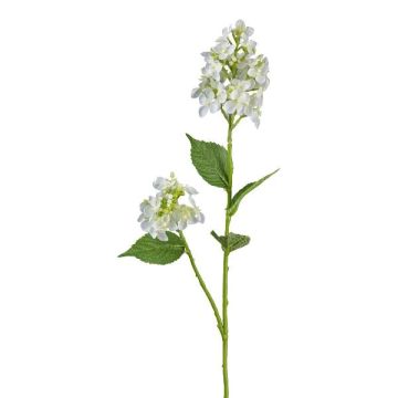 Rama decorativa de hortensia GRONVEL, blanca, 65 cm