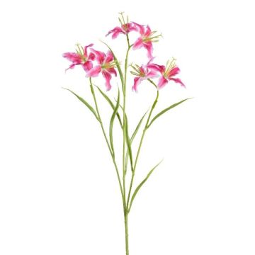 Rama artificial de lirio PLOMIX, rosa oscuro, fucsia-blanco, 65cm, Ø8cm