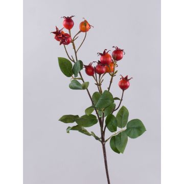 Rama decorativa de rosa silvestre LOPUNY con escaramujos, naranja, 70 cm Rama decorativa de rosa silvestre LOPUNY con escaramujos, naranja, 70 cm
