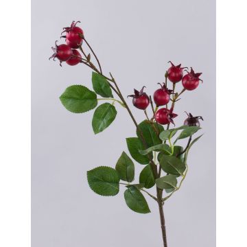 Rama decorativa de rosa silvestre LOPUNY con escaramujos, roja, 70 cm