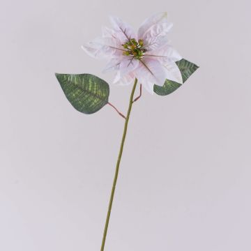 Poinsettia artificial de terciopelo LIBASSE, blanco y rosa, 45 cm Poinsettia artificial de terciopelo LIBASSE, blanco y rosa, 45 cm
