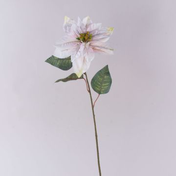 Poinsettia artificial de terciopelo LIBASSE, blanco-rosa, 65 cm Poinsettia artificial de terciopelo LIBASSE, blanco-rosa, 65 cm