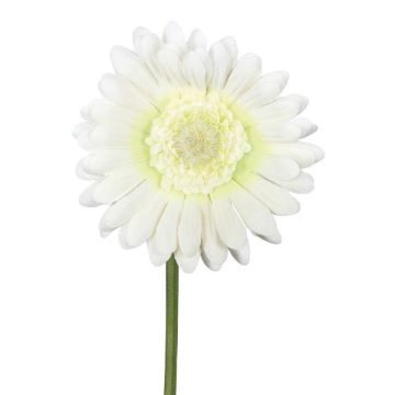 Flor artificial Gerbera TUNZA, color crema, 50 cm