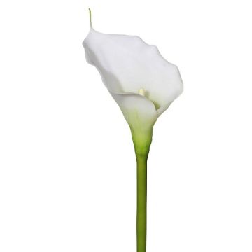Flor artificial de cala GOLMA, blanca, 70 cm