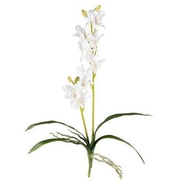 Orquídea dendrobium artificial Sonia NELTI, varilla, raíces, blanca, 60 cm