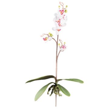 Orquídea artificial Phalaenopsis MALZA, varilla, raíces, blanco-lila, 55 cm