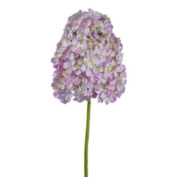 Flor decorativa hortensia paniculada AURONAS, rosa claro, 85 cm